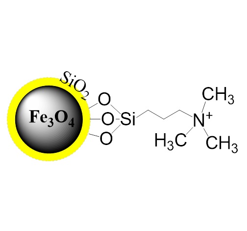 硅基強陰離子交換磁珠|PuriMag? Si-SAX|SAX磁珠